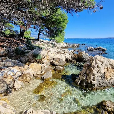 Oliva Rab *